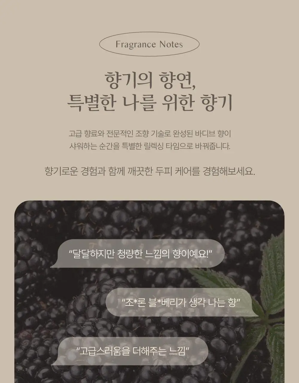 [대용량]바디브 약산성 미용실 퍼퓸 샴푸 [비듬 가려움 개선]/비건 단백질 LPP 트리트먼트 1000ml 9종 택1 상세페이지 28